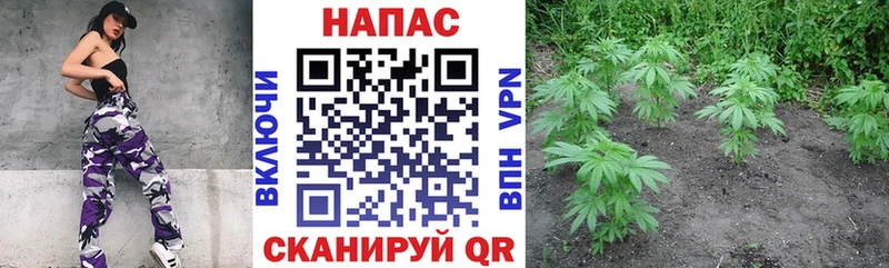 ОМГ ОМГ   что такое   Обоянь  Марихуана план 